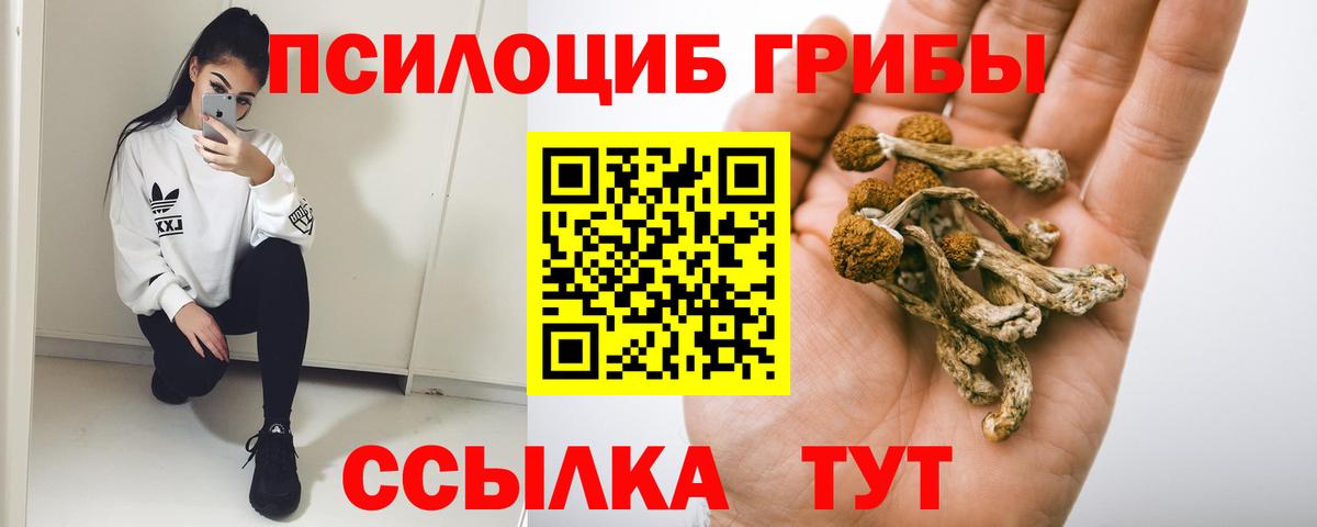 Иркутск  Галлюциногенные грибы Psilocybine cubensis  Галлюциногенные грибы мухоморы  где найти   Вход с VPN 